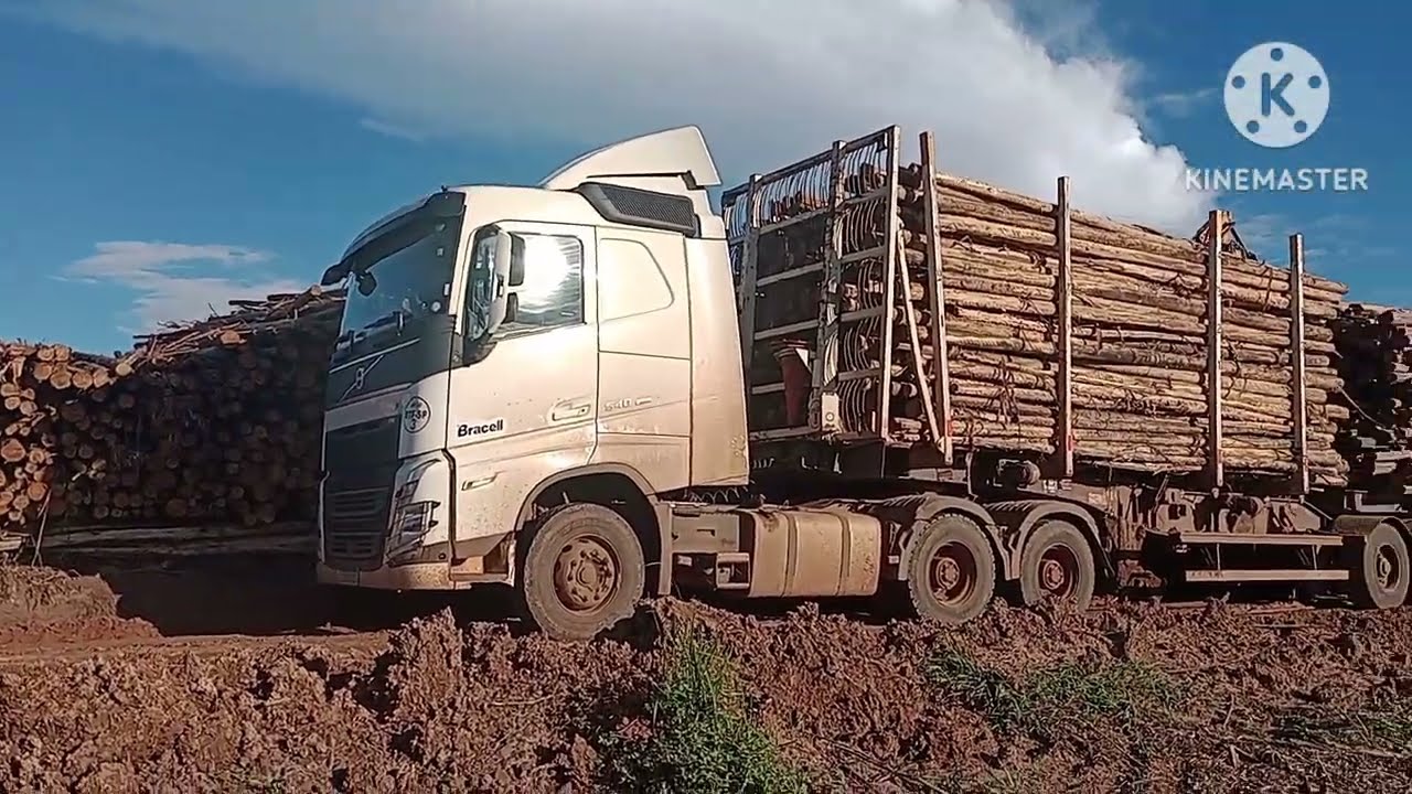 trasporte de eucalipto  na região de. Avaré SP EP/01/26