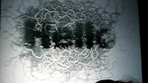 Joshua Davis - designer - Hello slide