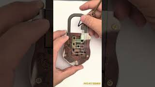 Can You Unlock the Egyptian Pin Lock? | Ancient Puzzle Challenge Can You Unlock the Egyptian Pin Lock? | Ancient Puzzle Challenge