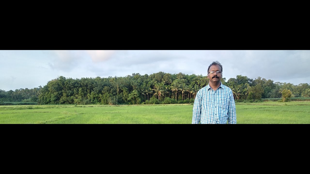 VEENAPOOVU, Krishnankutty.K.K.Class.7.വീണപൂവ്