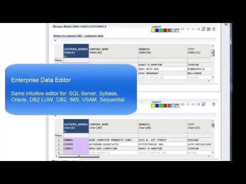 Compuware Topaz: Intuitive Cross-platform Data Discovery, Visualization and Editing