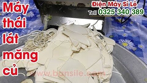 Máy thái lát, cắt lát,xắt lát măng củ tươi chạy điện, điều chỉnh được độ mỏng như ý muốn