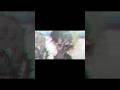 Enemies to lovers#gacha#trend#naoflop#gachaclub#trending#viral#shorts#edit#fyp#foryou#video