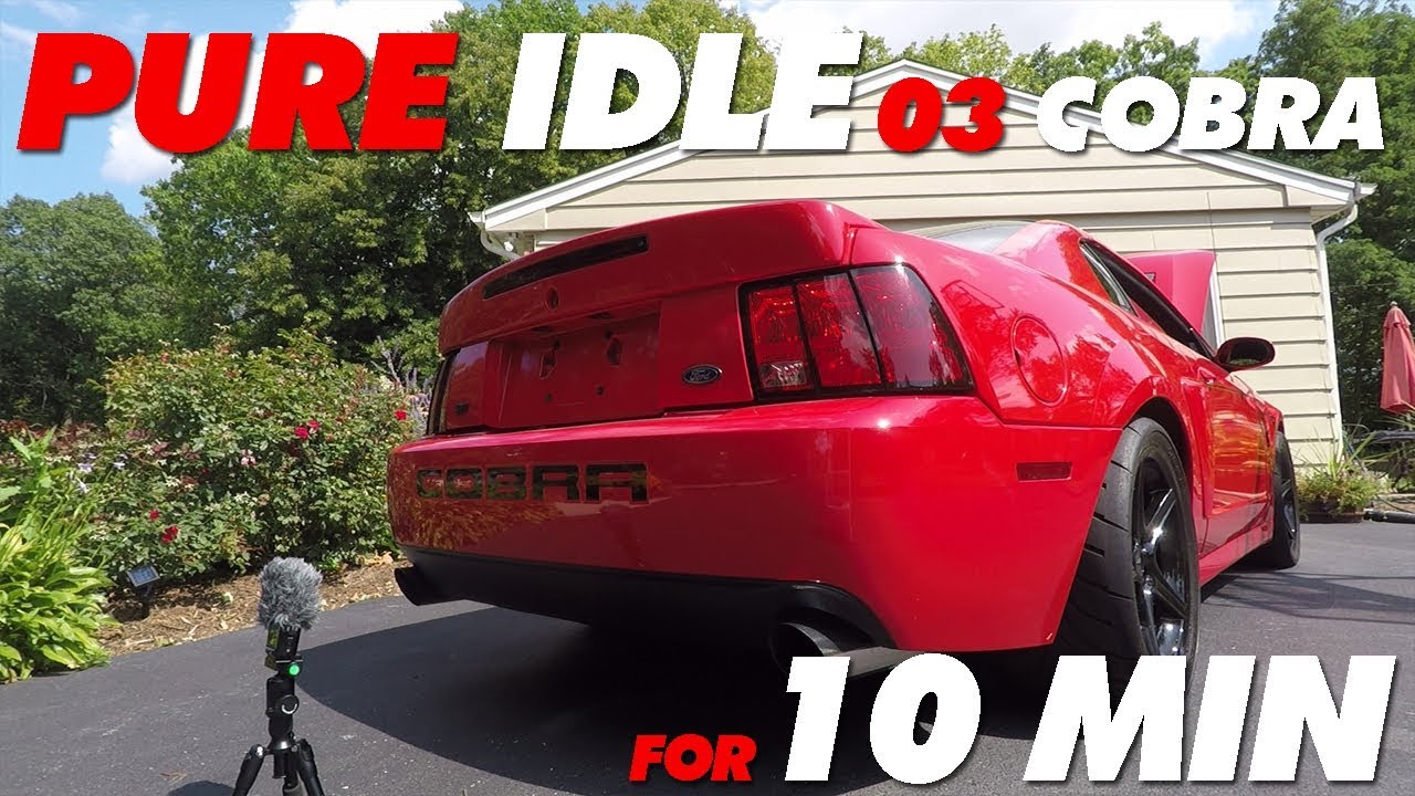 034 motorsports Pure Idle Terminator Cobra for 10min
