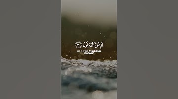 القارئ مصطفى مطير