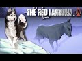 Learning Lessons from ARCTIC Foxes?! 🐕🛷 The Red Lantern • #7