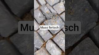 Manchmal Mass man einfach den Finger aus dem Arsch