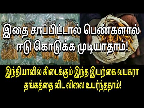 இந்தியாவில்-இந்த-பொருள்-தங்கத்தை-விட-விலை-உயர்ந்தது!-|-tamil-viral-video-|-tamil-health-tips