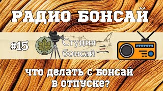 Что делать с бонсай в отпуске? / Радио подкаст - Павел Горбачев (15 выпуск) @Studio.Bonsai