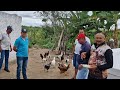 VANIO DA FEIRA REJISTADO AS NOVIDADES NO GRIATORO DO AMIGO VAUTINHO NO PER DE SERÁ D,R,#NORDESTE
