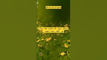 سعود ال جمعة  - .أيات عظيمة من سورة الفتح - مُحَمَّدٌ رَسُولُ اللَّهِ وَالَّذِينَ مَعَهُ ...