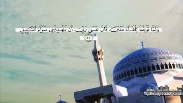 سورة القصص بصوت القارى الشيخ هاني الرفاعي