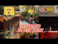 Solo Trip to Dominican Republic | Bad Bunny Concert