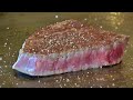 Japanese wagyu beef tenderloin steak course | teppanyaki in Japan