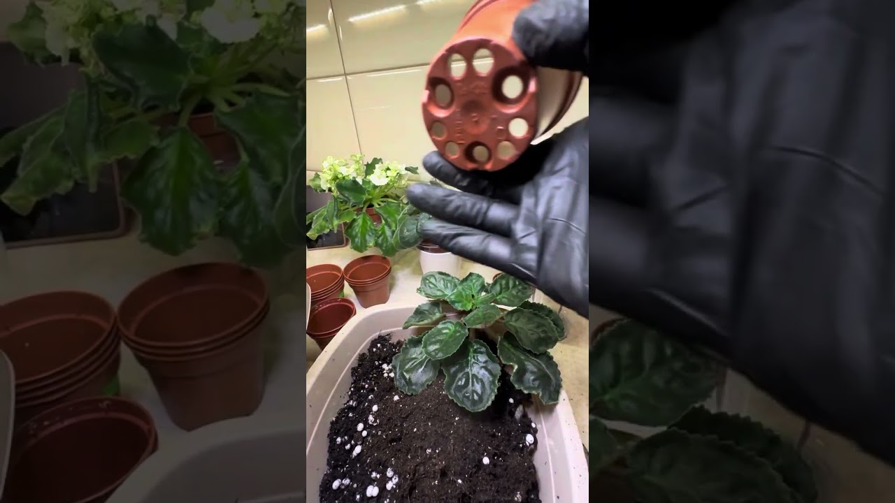 26 ноября 2025 г.