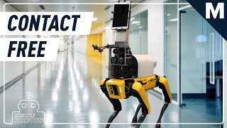 Spot The Robot Dog Can Check Your Vital Signs, Contact-Free | Strictly Robots
