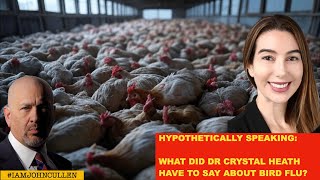 Hypothetically Speaking: What Did Dr. Crystal Heath Say About Bird Flu?
This analysis is not news. This video is an independent opinion journalism project and represents our opinion, and our opinion only.
THIS VIDEO MAY CONTAIN COPYRIGHTED MATERIAL.
SUCH MATERIAL IS MADE AVAILABLE FOR EDUCATIONAL PURPOSES ONLY.
THIS CONSTITUTES A FAIR USE OF ANY SUCH MATERIAL AS PROVIDED FOR PURSUANT TO TITLE 17 UNITED STATES CODE SECTION 106A-117 REGARDING USE OF COPYRIGHT MATERIAL.
FURTHER, ONLY SMALL PORTIONS OF EACH LISTED CREDIT ARE USED. THIS CREATOR THANKS EACH PERSONALLY IN ADVANCE.
FAIR USE NOTICE: Copyright Disclaimer Under Section 107 of the Copyright Act 1976, allowance is made for fair use for purposes such as criticism, comment, news reporting, teaching, scholarship, and research. Fair use is a use permitted by copyright statute that might otherwise be infringing. Non-profit, educational or personal use tips the balance in favor of fair use. This effort here is respectfully submitted and credit is listed below. Only small portions of each listed has been used and/or we have requested permission to use in advance. Upon request verification can be submitted.
(We could be wrong...) Hypothetically Speaking: What Did Dr. Crystal Heath Say About Bird Flu?