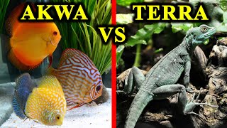 Akwarium VS Terrarium - co lepsze? (porównanie)