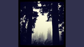 Warm Woods