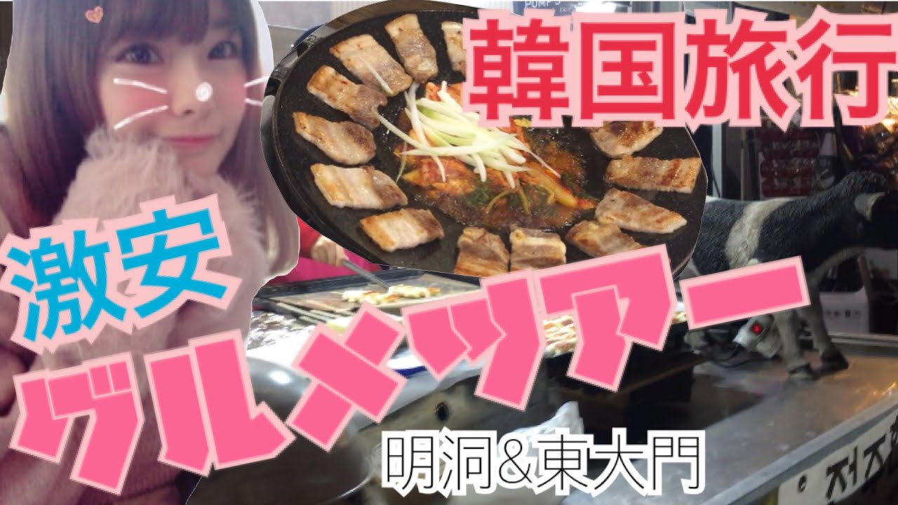 韓国旅行 激安グルメツアー 明洞 東大門 Youtube