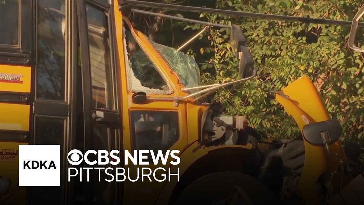 School bus driver taken to hospital after crashing into Forward ...