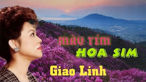Màu Tím Hoa Sim - Danh Ca Giao Linh.