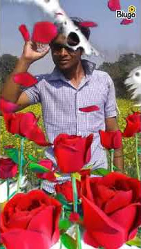 Debasis mahato 682