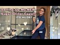 Setting up my new Sugar Glider cage!!