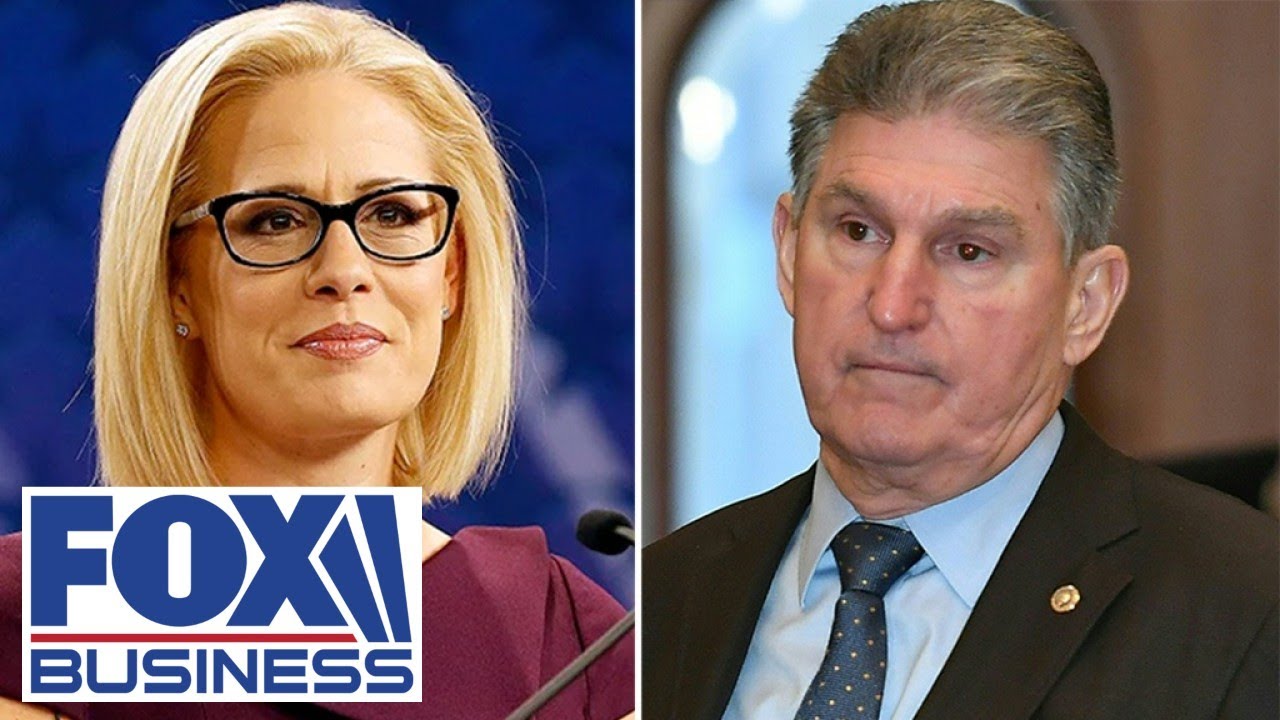 God bless Sens. Manchin, Sinema for standing up to Democrat colleagues: Rep. Stewart