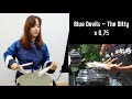 Blue devils ditty  snare drum cover