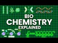 Biochemistry and Metabolism Quiz