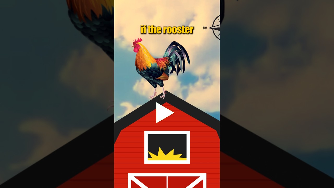 which side of the roof will the egg roll down? | 