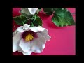 DIY  Belíssima flor magnólia de E.V.A. passo passo
