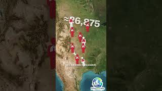 Why USA Built a Giant Wall from Canada to Texas😳🇱🇷Great Plains Shelterbelt✳️
