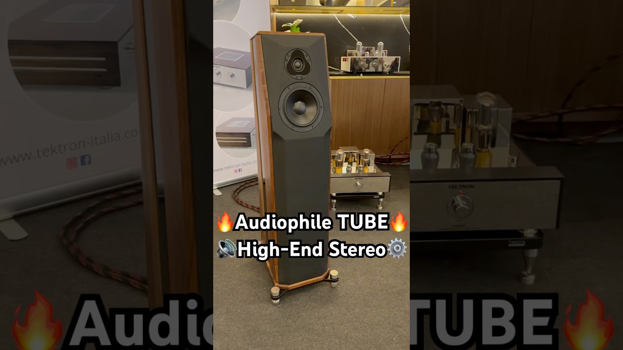 🔥Audiophile HighEnd Stereo System 🔊Home HiFi Speaker Audio Setup 