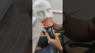 Dental Simple Manikin Kit| Dental Phantom Head Simulator