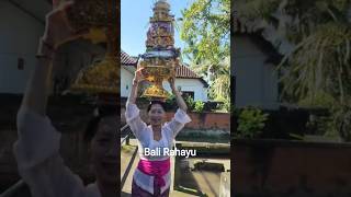 Cantiknya seorang ibu menjunjung sesajen di Bangli Bali
