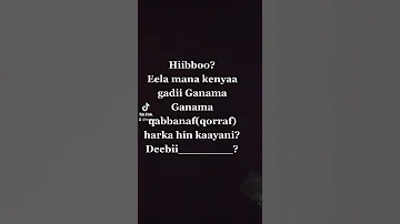 Hibboo 
