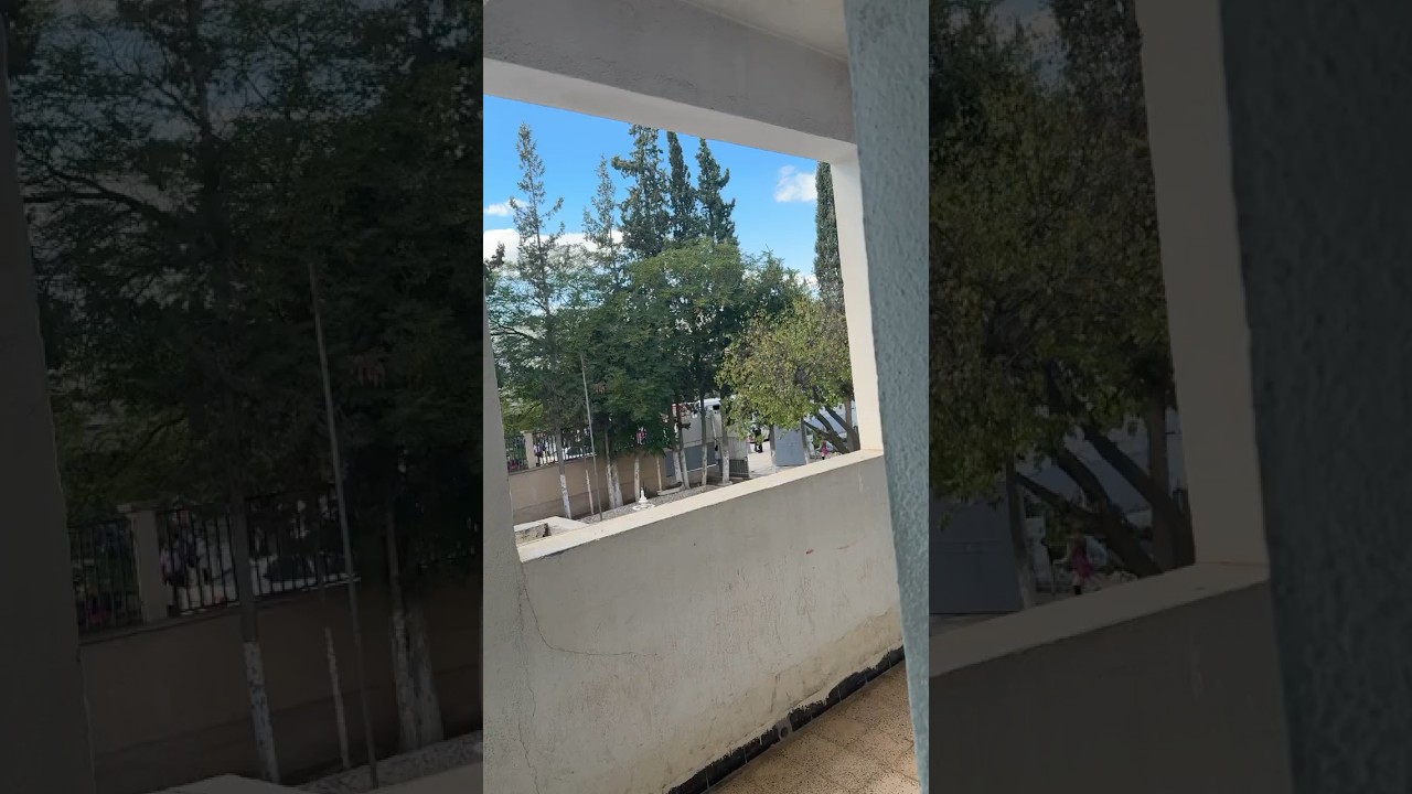 واش رايكم
