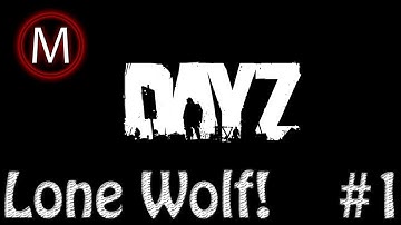 DayZ Lone Wolf Episode-1-MY NEW FRIEND!