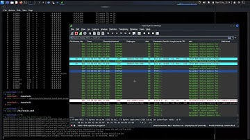 iptables DNS, TTL, and port firewall