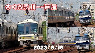 【貨物列車】さくら夙川～芦屋 2023/6/16【快速221系】