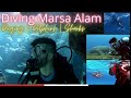 Marsa Alam, Egypt (2020) | Diving with Sharks, Turtles, Dugong, Dolphins