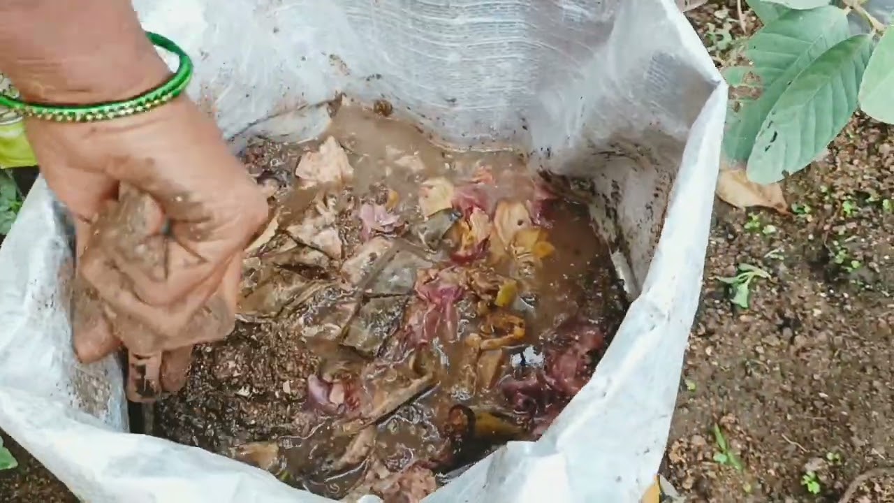 How to make compost from kitchen waste |వంటగది వ్యర్థాల నుండి కంపోస్ట్ ఎరువును ఎలా తయారు చేయాలి