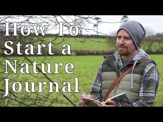 October in my Nature Journal - Painting and Collaging Speedpaint 