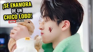 🔥CHICA ENCUENTRA A UN HOMBRE LOBO Y SE ENAMORA, PERO DESCUBRE QUE ES SU JEFE Y...| Mejor Resumen