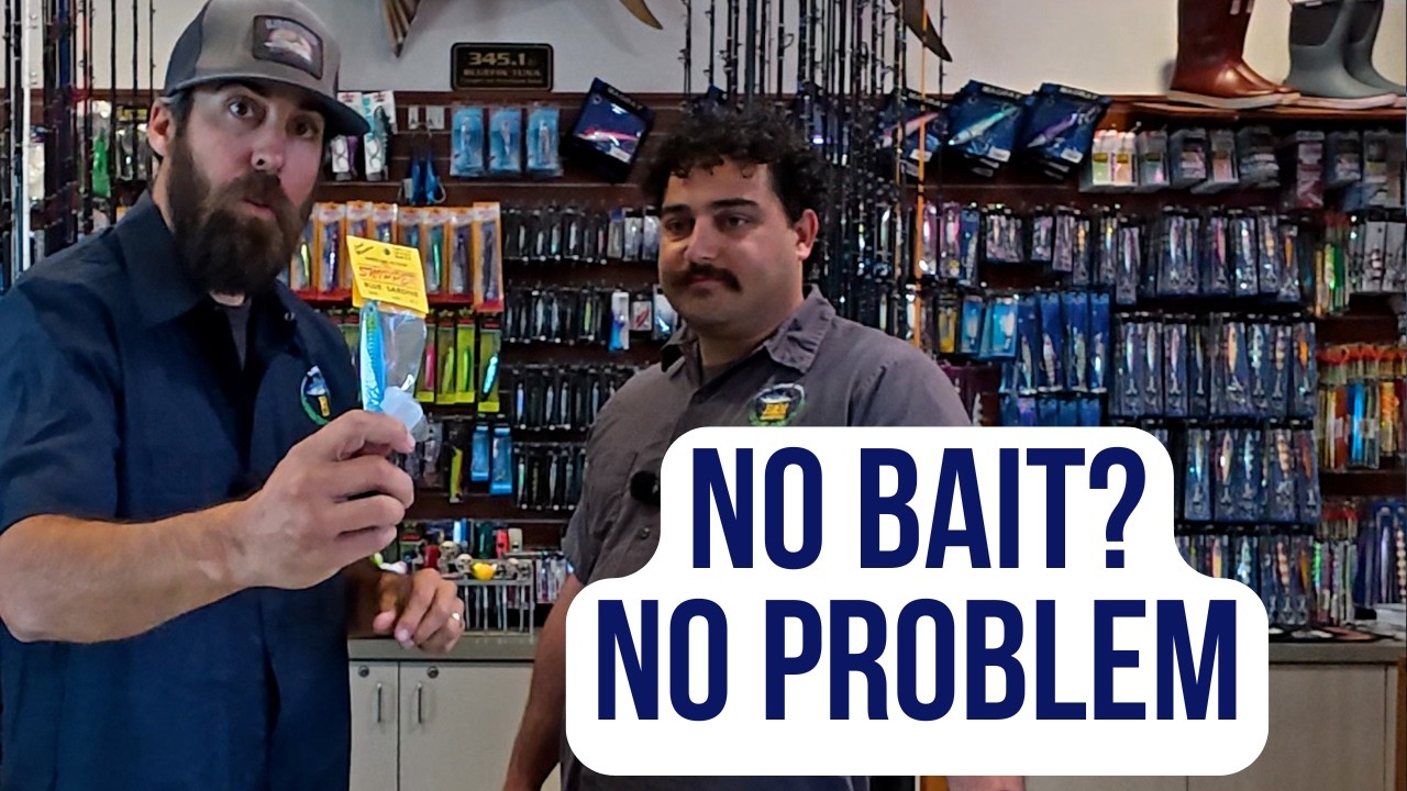 ⁣Beat the Sardine Shortage with these Tackle Tips!
