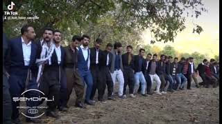 Hay Gule Şemdi̇nli̇ Düğünü