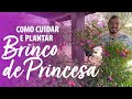 BRINCO DE PRINCESA - Como ter SUCESSO no CULTIVO e na ADUBAÇÃO