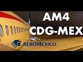 Flight Report Paris-Mexico City (am004)